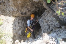 In Egyptian vulture's nest