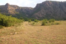 The place of the incident