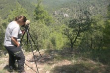 The guard of a nest in Dadia Forest/WWF