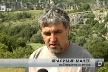 The rescue of chicks fallen from the nest is important action for the conservation of the species, shares the nest guardian Krasimir Manev