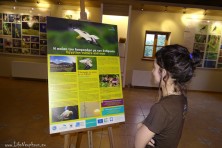 Οι ενημερωτικές πινακίδες για τον Ασπροπάρη στην έκθεση του Μουσείουστο Περιβαλλοντικό Πάρκο Μπουραζάνι