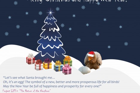 Meery Cristmas!