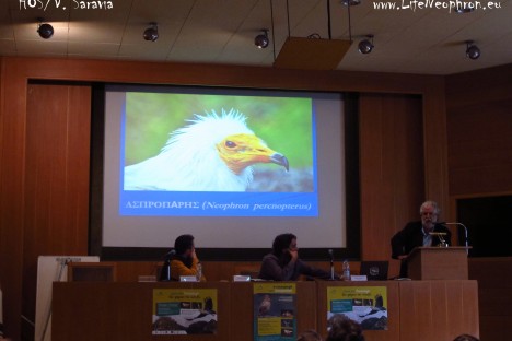Workshop for the Egyptian Action Plan in Greece (HOS/V.Saravia)